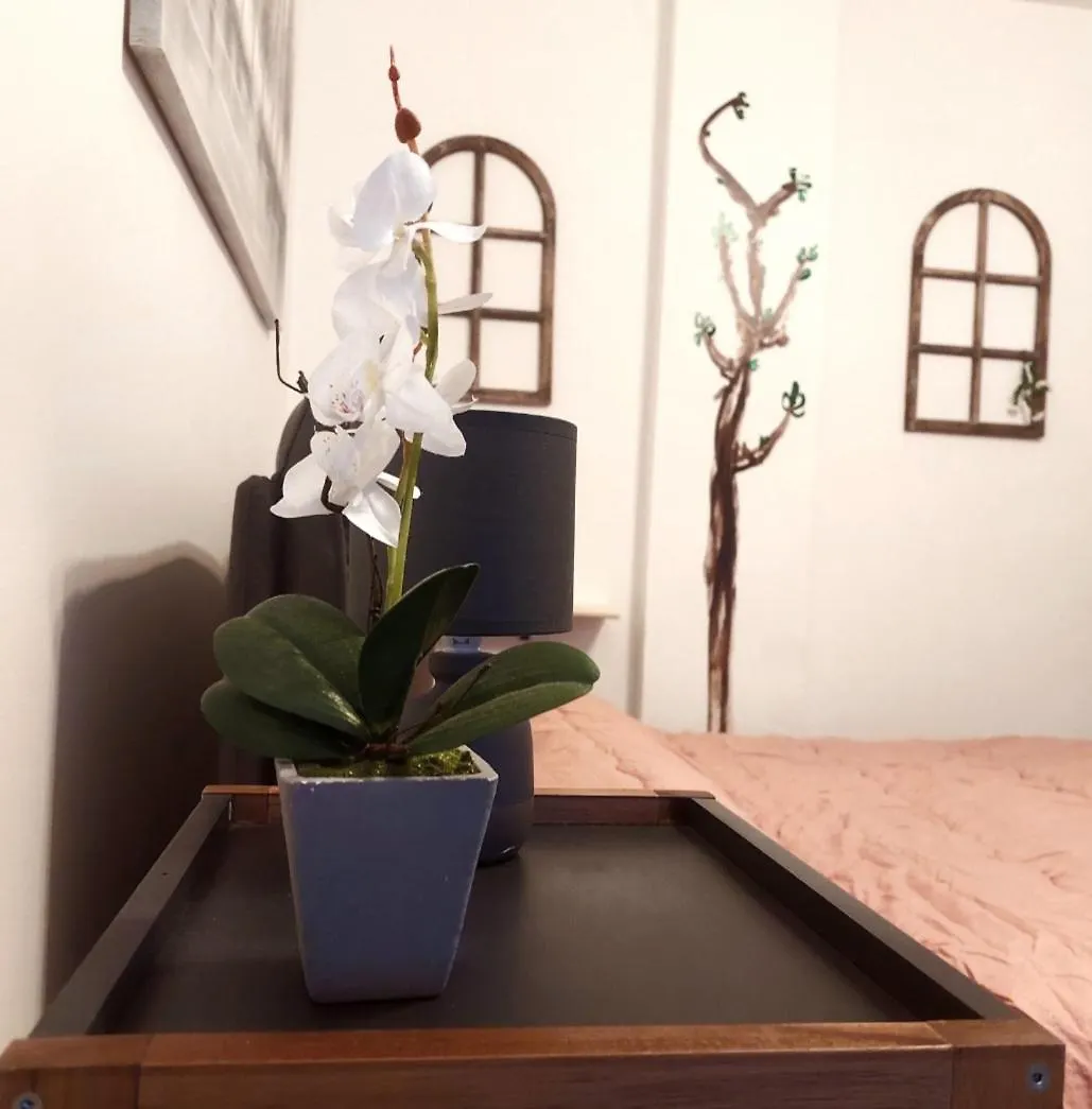 Apartment Angolino Home Sanremo Italy